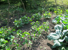 iunie 2011 part 2 107