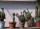 DSC00589
