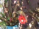 DSC00608