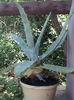 DSC00609