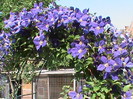 DSC00614