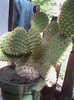 DSC00638
