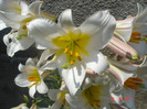 DSC02009