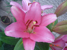 DSC02185