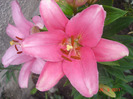 DSC02186