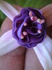 Picture 013