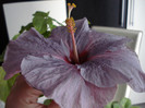 DSC08945