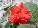 DSC06714