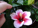 DSC06703