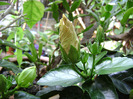 DSC06708