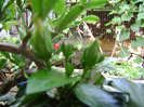 DSC06709