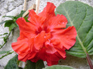 DSC06713