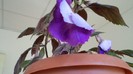 DSC00382