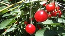 DSC00391