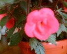 Copy of Imag057