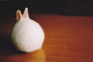 5304_e8fd_large