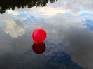 4834_a6f4_large