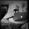 hello-kitty-in-bed-98603-530-530_large