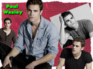 paul_wesley_wallpaper_2_by_ais541890-d2zp5m9