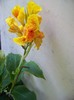 100_9207