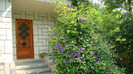 DSC09649