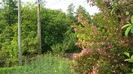DSC09650