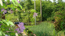 DSC09651