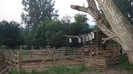 DSC09717