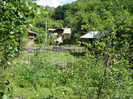 DSC09755