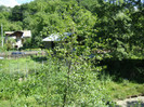 DSC09756
