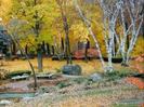 images[4]