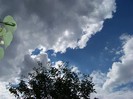 100_9634