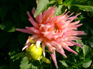 DSC02011