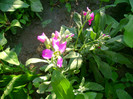 DSC02014