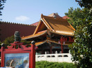 P6250611