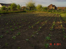 Picture 1889