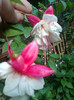 Imagine0718_1