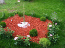 DSCF6163