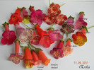 Grup flori 11-06-2011