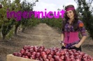 34984709_DVDSUTUAI