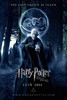 Harry_Potter_and_the_Deathly_Hallows_Part_II (6)