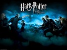 Harry_Potter_and_the_Deathly_Hallows_Part_II (7)