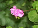 100_9309