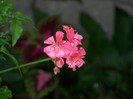 100_9441