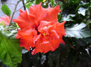 DSC06744