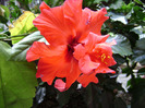 DSC06746