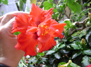 DSC06747