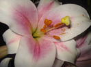 DSC09657