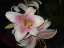 DSC09658