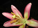 DSC09662